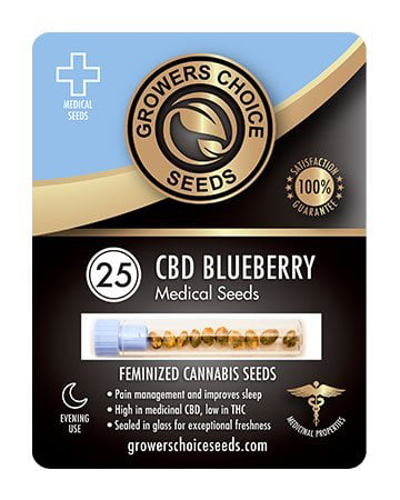 Buy Cbd Blueberry Strain Seeds Pack 25