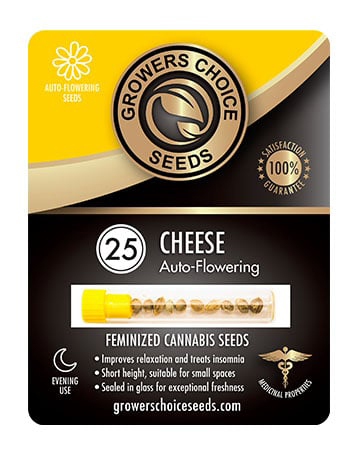 Buy Cheese Autoflower Seeds Pack 25