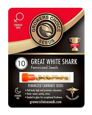 Buy Great White Shark Strain Seeds Pack 10