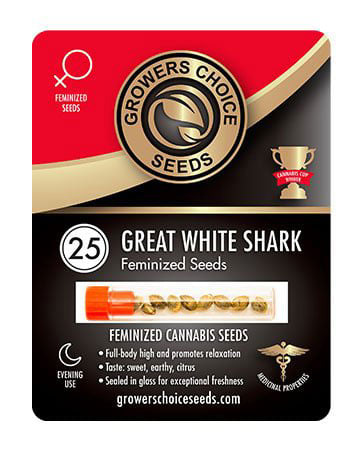 Buy Great White Shark Strain Seeds Pack 25