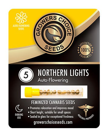 Buy Northern Lights Autoflower Strain Seeds Pack