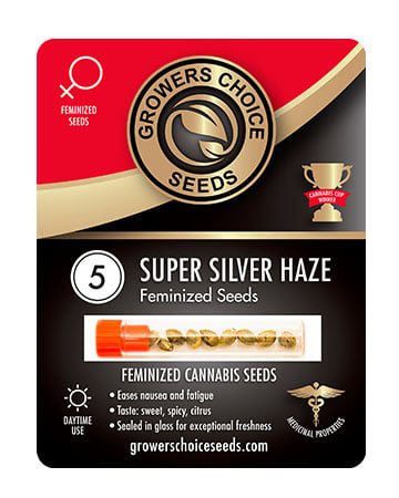 Get Super Silver Haze Feminized Seeds Pack 5
