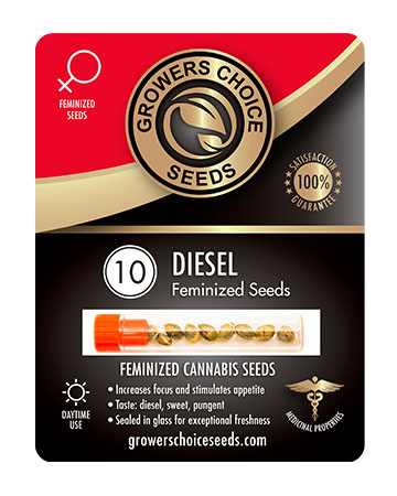 Shop-Diesel-Feminized-Cannabis-Seeds