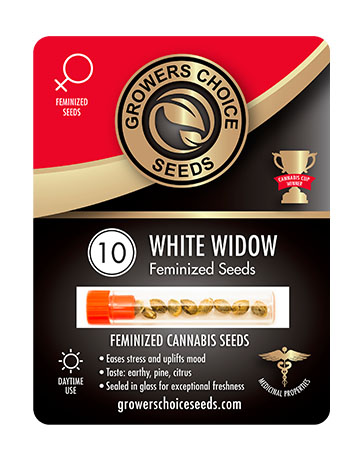 White Widow Seeds For Sale