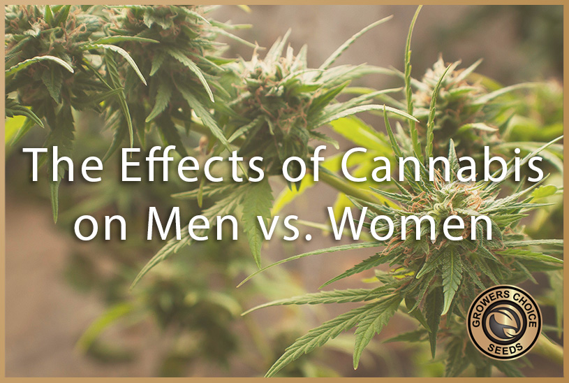 effects of weed on men and women