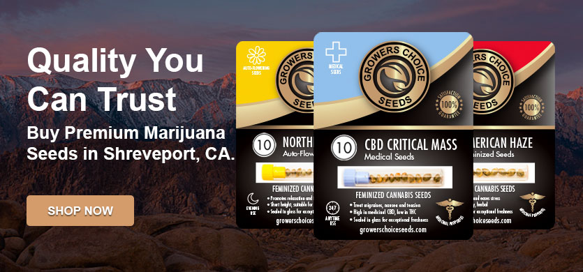 buy marijuana seeds in Shreveport