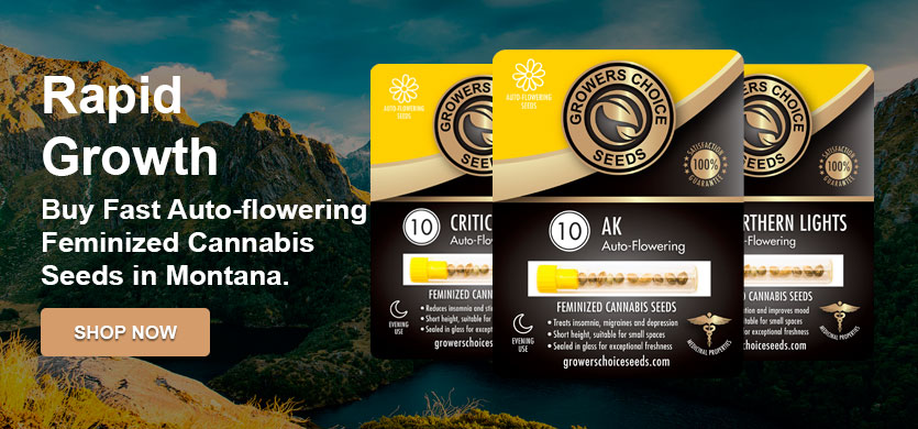 get autoflowering marijuana seeds in montana