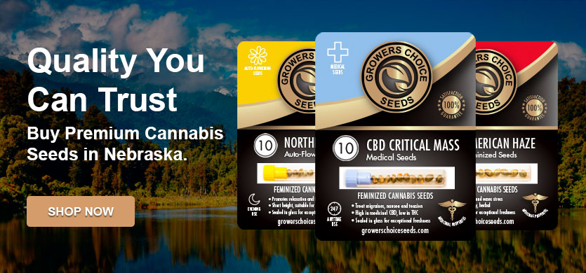 buy cannabis seeds in Nebraska