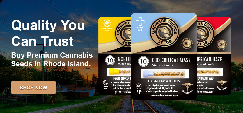 buy the best marijuana seeds in Rhode Island