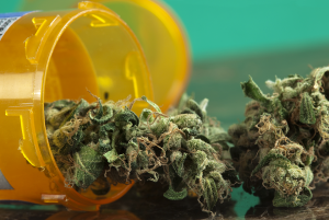Which strains are considered medical weed?