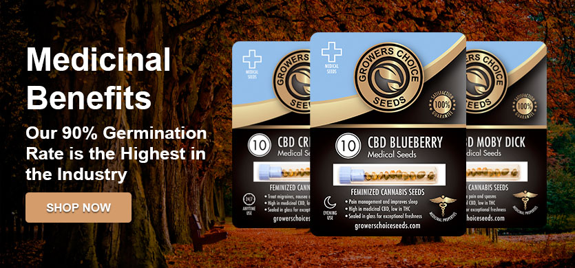 Cannabis with high CBD for United states