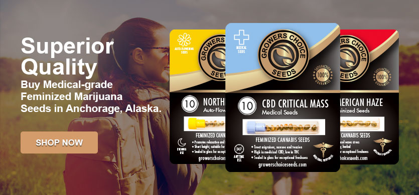 Buy marijuana seeds in Anchorage Alaska