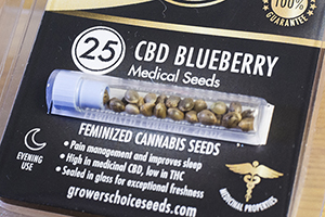 get cannabis seeds delivered