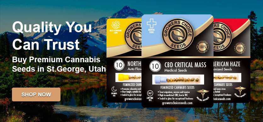 the best cannabis seeds for sale in St. George