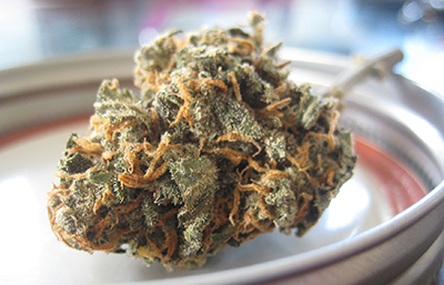 cannabis seeds cannabinoids