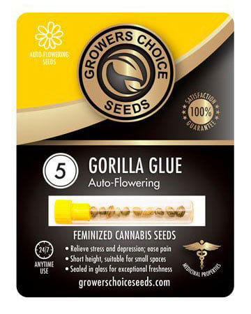 Shop Gorilla Glue Autoflower Seeds Pack
