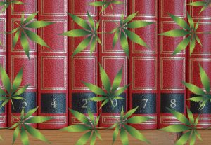 marijuana books written in 2017