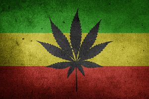 marijuana in Jamaica