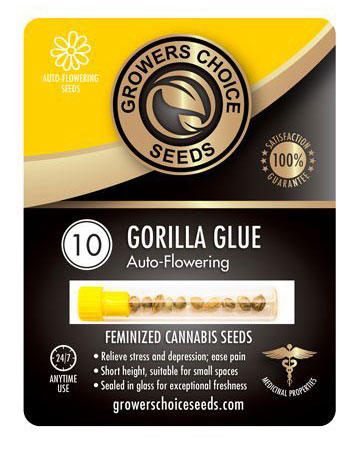 Gorilla Glue Seeds