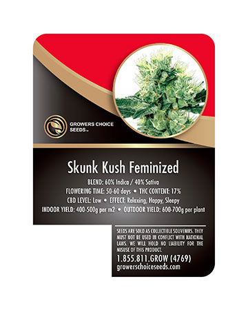 Deliver-Skunk-Kush-Feminized-Cannabis-Seeds2