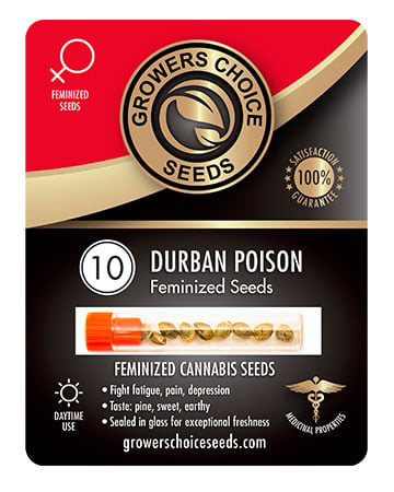 Durban Kush Seeds Pack
