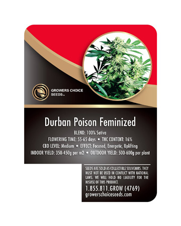 Durban Poison Seed Info