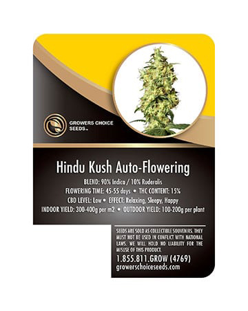 Hindu Kush Autoflower Info