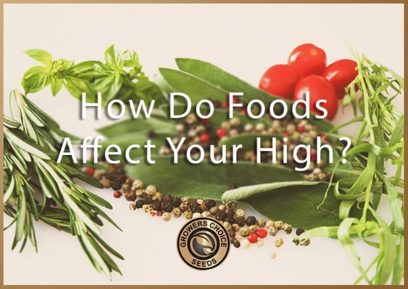 How Food Affects Your High - Growers Choice Seeds