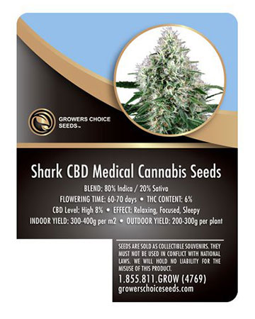 grow-cannabis-with-best-yield-results-cbd-shark