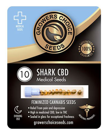 shop-for-reliable-marijuana-seeds-10-cbd-shark