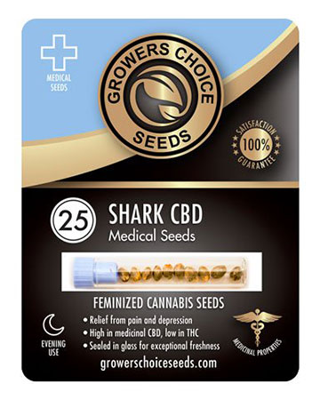 shop-for-reliable-marijuana-seeds-25-cbd-shark