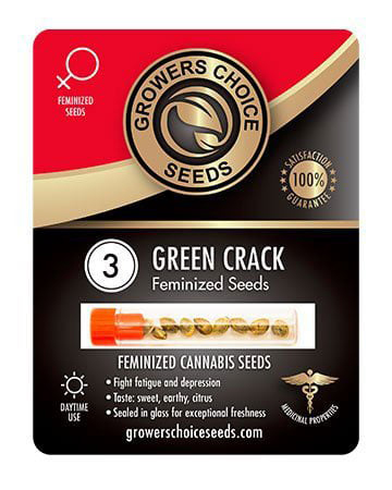 Buy Green Crack Strain Seeds Pack