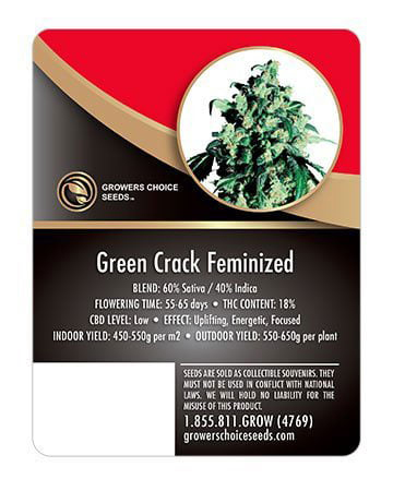 Green Crack Seed Info