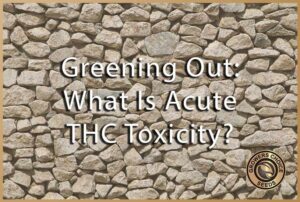 green out what is acute thc toxicity