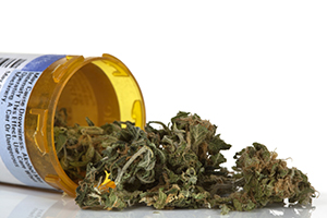 buy cannabis new york for microdosing