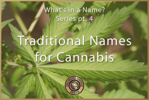 series 4 traditional names for cannabis pt 4