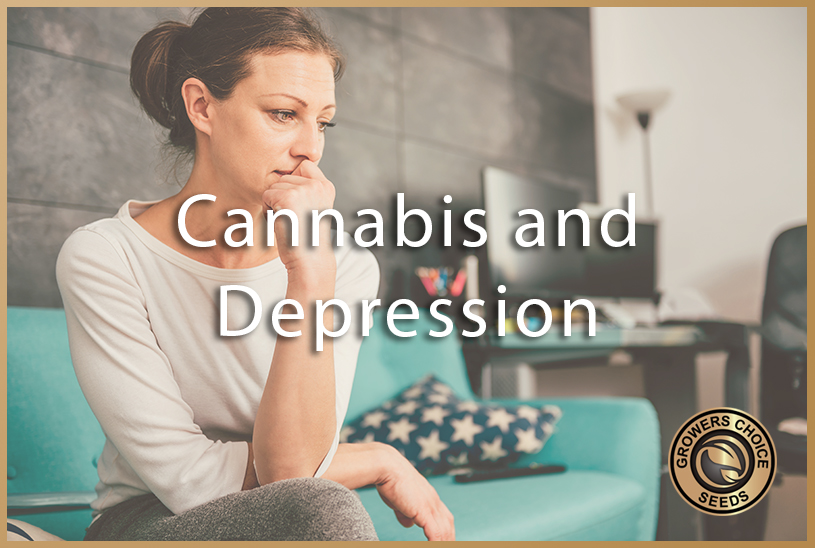 depression treatment with cannabis