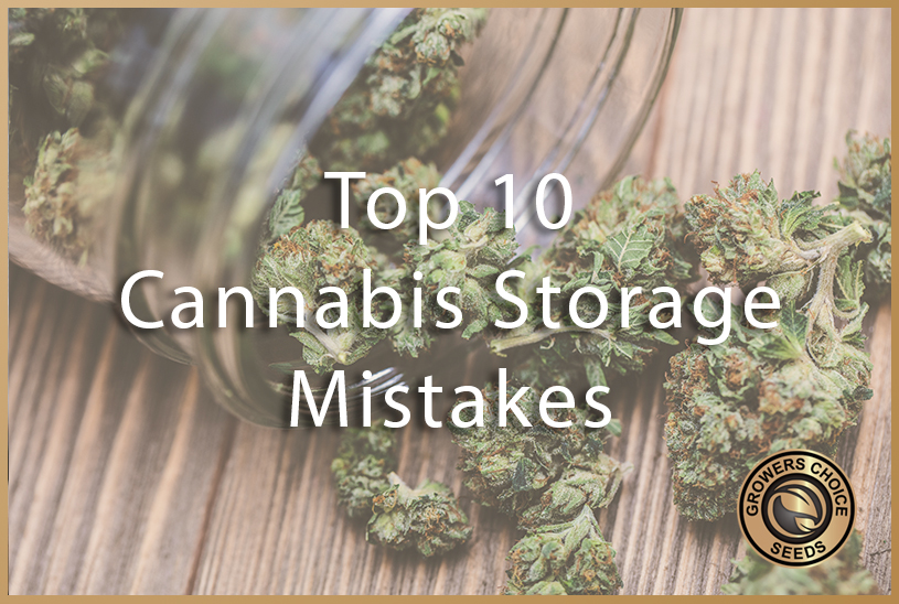 don't make these weed storage mistakes