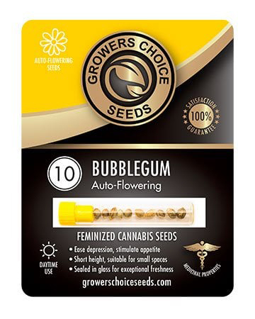 Buy Bubble Gum Seeds Pack 10
