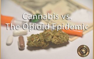 cannabis vs the opioid epidemic