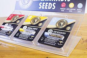 Buy the best Cannabis Seeds in California