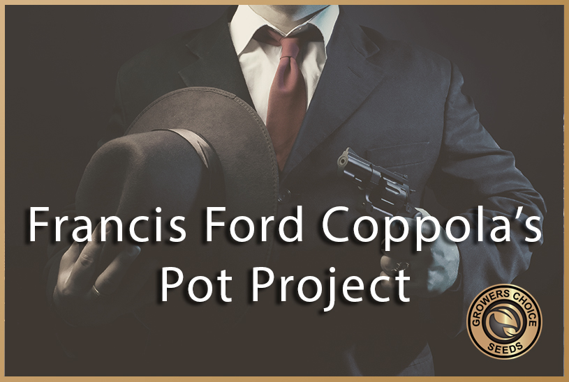 francis ford coppola pot project