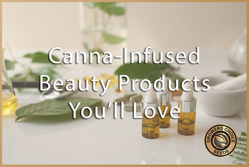 cannabis beauty products growers choice blog