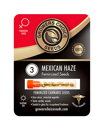 Buy Mexican Haze Seeds Pack 3