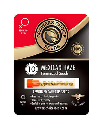 Buy Mexican Weed Seeds Pack 10