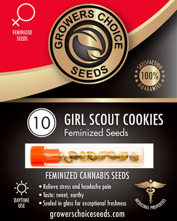 Girl Scout Cookies Weed Seeds