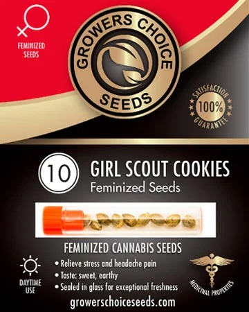 Girl Scout Cookies Weed Seeds Pack