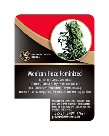 Mexican Haze Strain Seeds Info