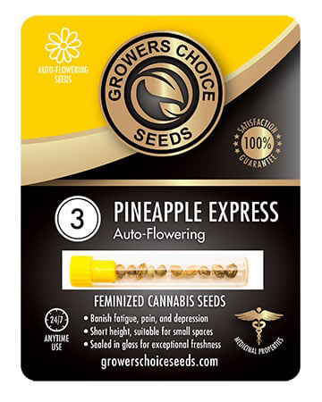 Buy Pineapple Express Seeds Auto Pack 3