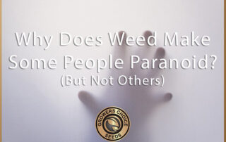 why does weed make some people paranoid